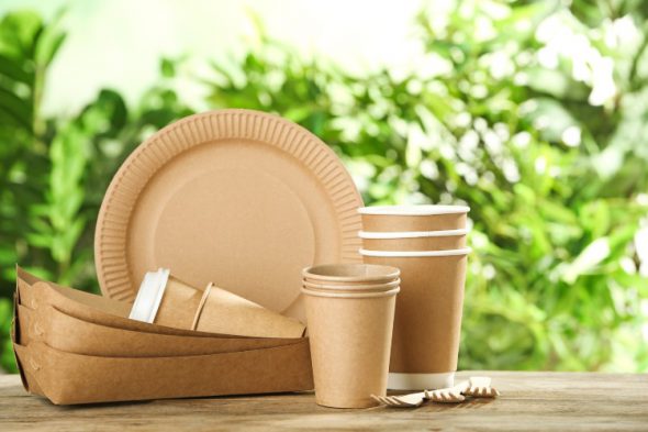 חד פעמי לאירועים – שמחה ירוקה הלילה!